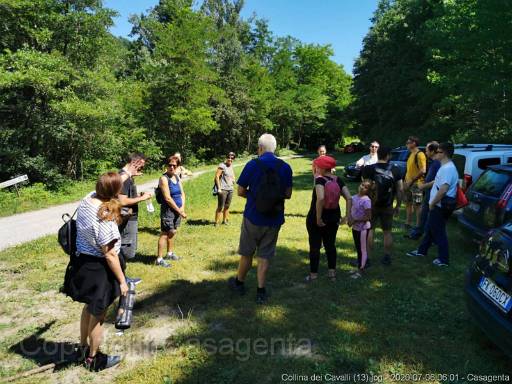 Collina dei Cavalli (13).jpg